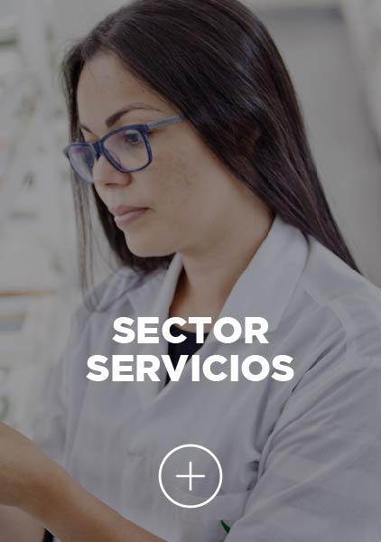 Sector Servicios