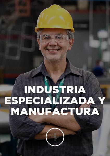 Industria especializada